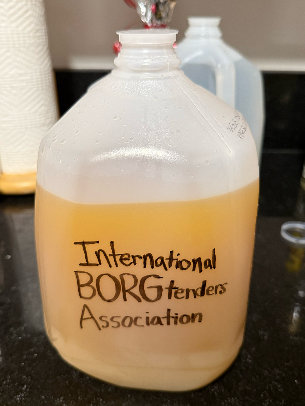 The IBA Tiki borg