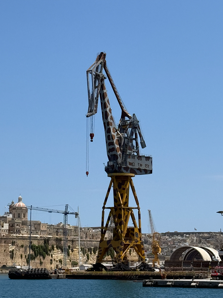 Crane painted like a giraffe